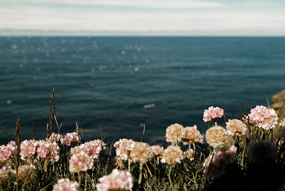 Le printemps